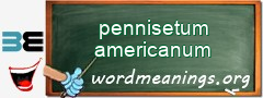 WordMeaning blackboard for pennisetum americanum
